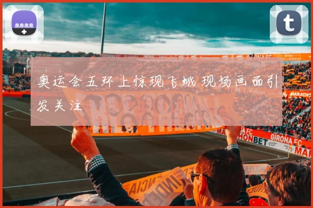 奥运会五环上惊现飞蛾 现场画面引发关注