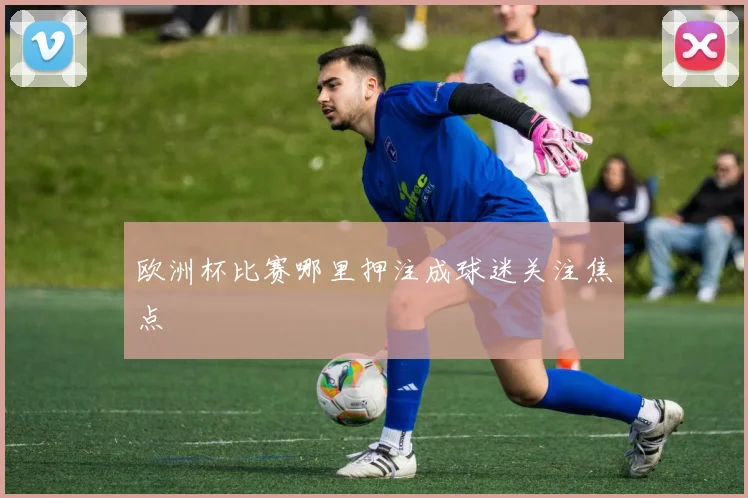 欧洲杯比赛哪里押注成球迷关注焦点