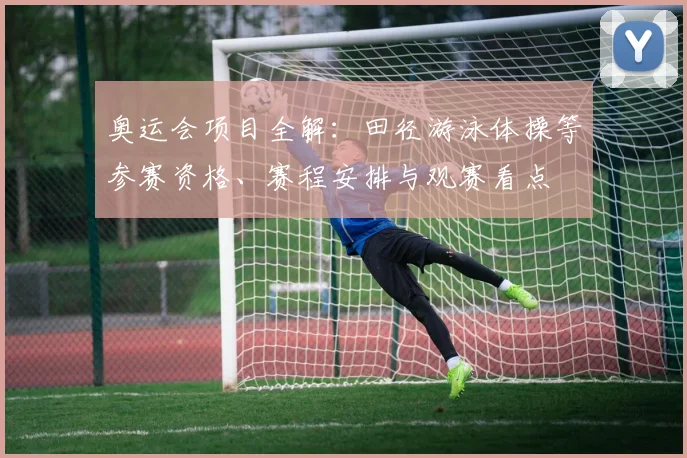 奥运会项目全解：田径游泳体操等参赛资格、赛程安排与观赛看点