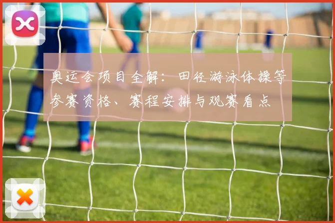 奥运会项目全解：田径游泳体操等参赛资格、赛程安排与观赛看点
