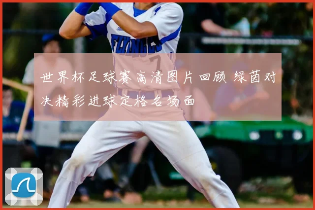 世界杯足球赛高清图片回顾 绿茵对决精彩进球定格名场面