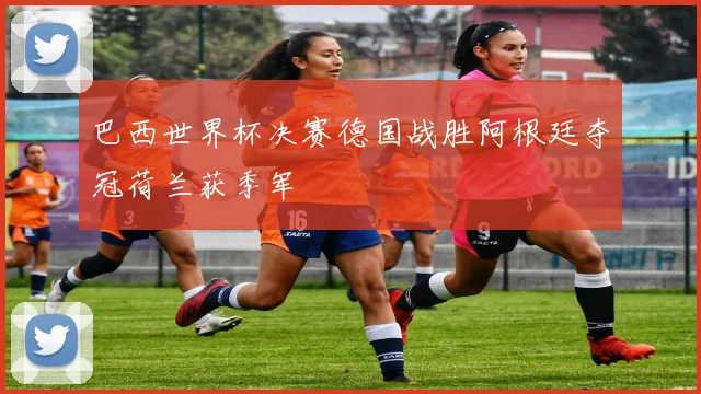 巴西世界杯决赛德国战胜阿根廷夺冠荷兰获季军