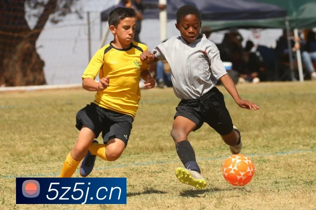 乐竞官网服务体系