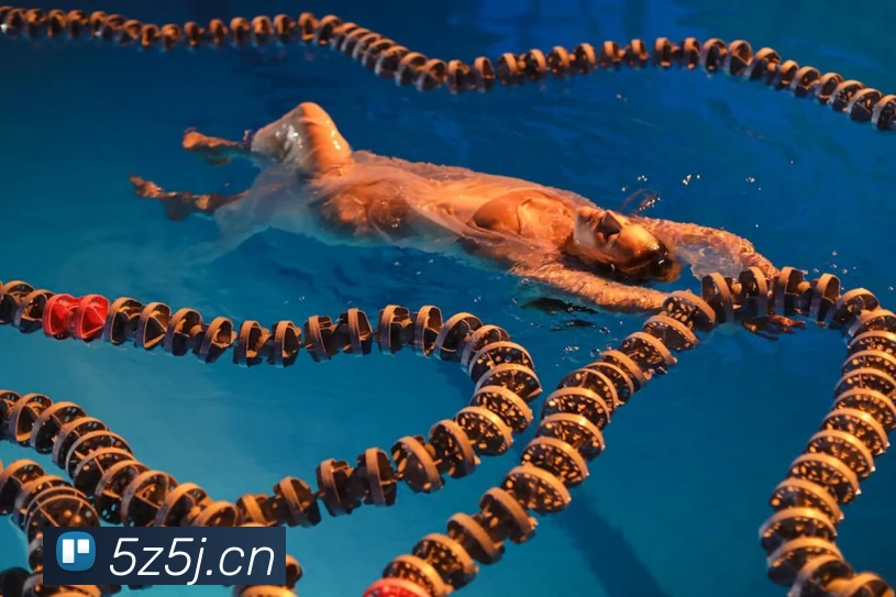 多媒体互动体验