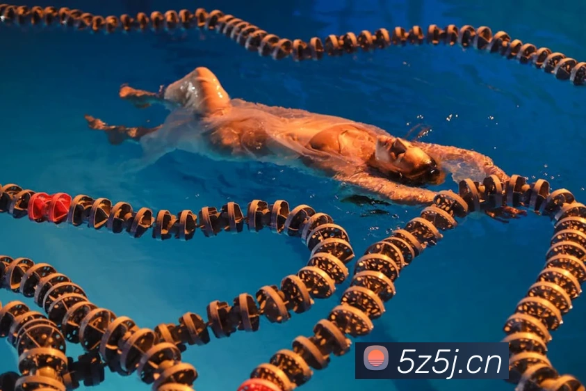 乐竞官网APP 体育赛事宣传图